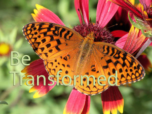 Be Transformed